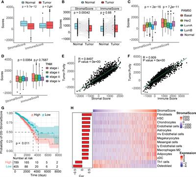 Frontiers Cancer Associated Fibroblasts Derived LncRNA Signature As A